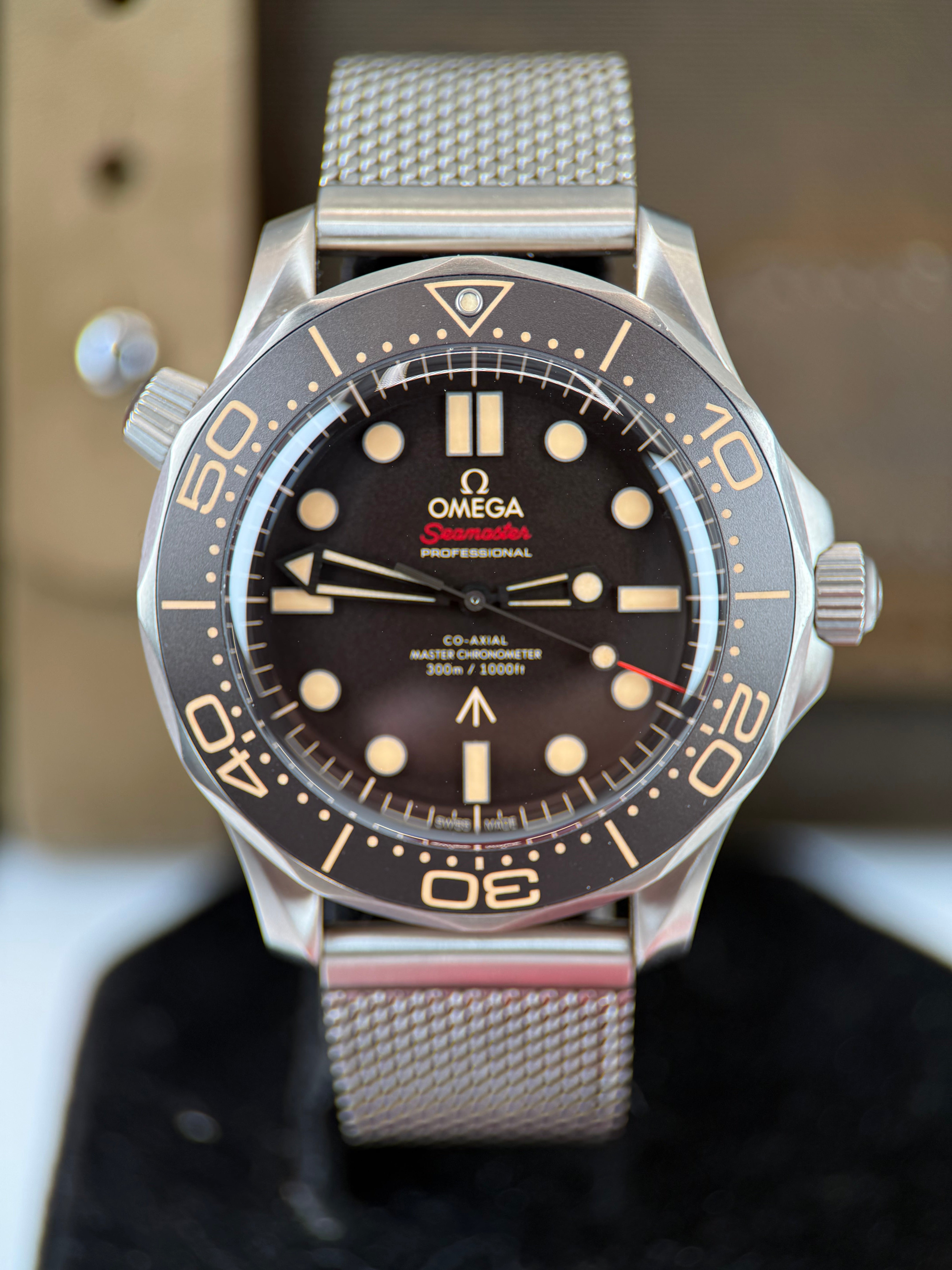 Omega Seamaster NTTD 007