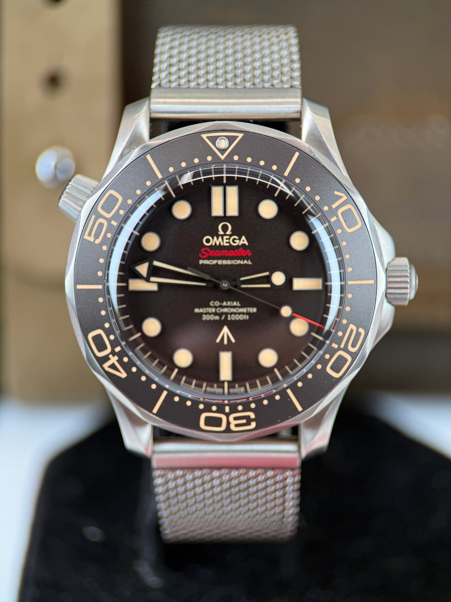 Omega Seamaster NTTD 007