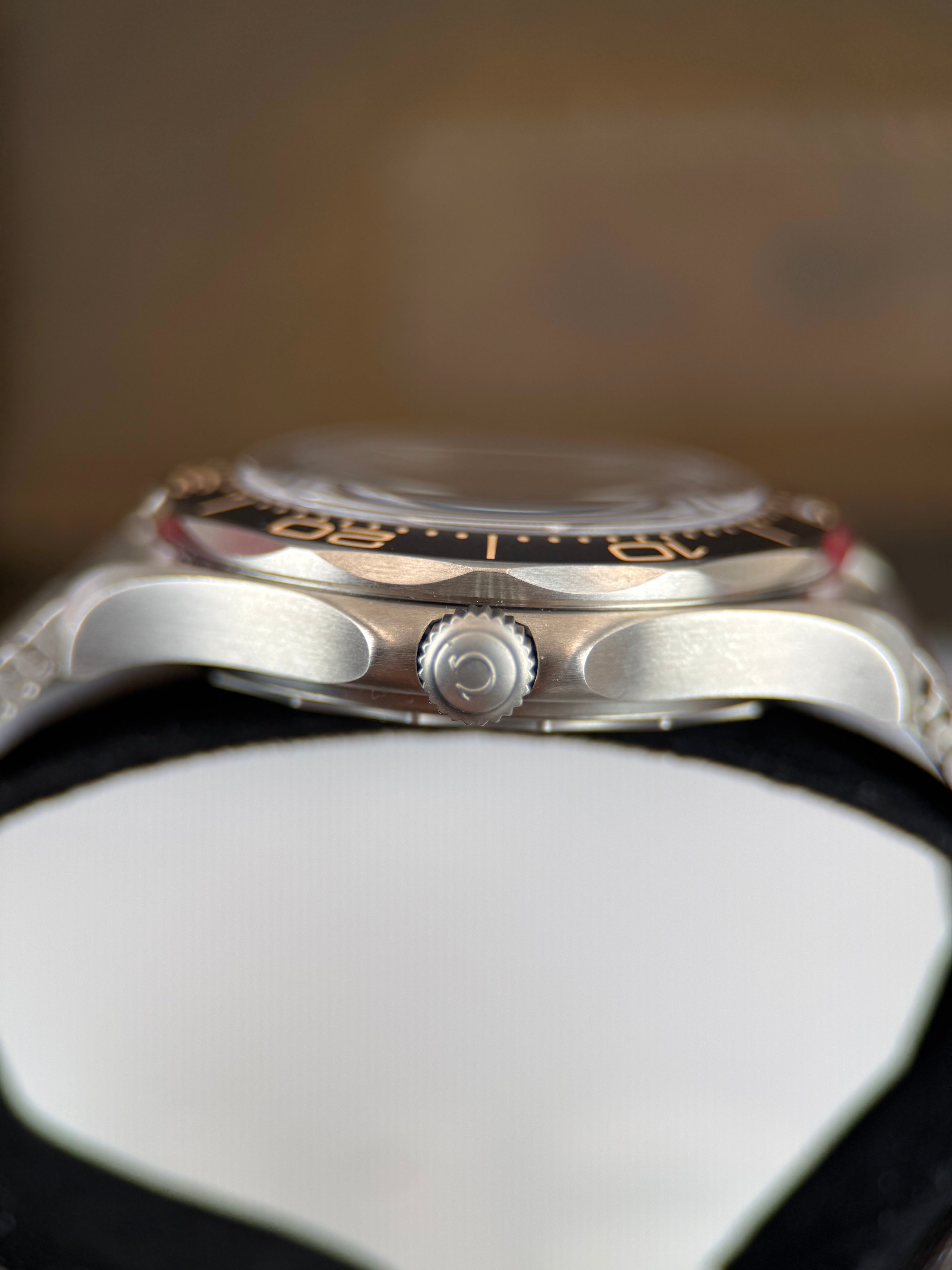 Omega Seamaster NTTD 007
